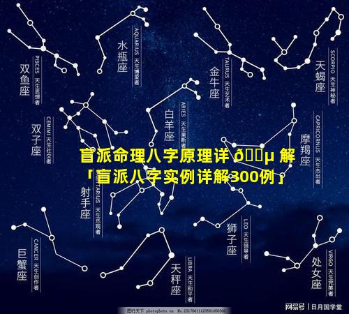 盲派命理八字原理详 🐵 解「盲派八字实例详解300例」